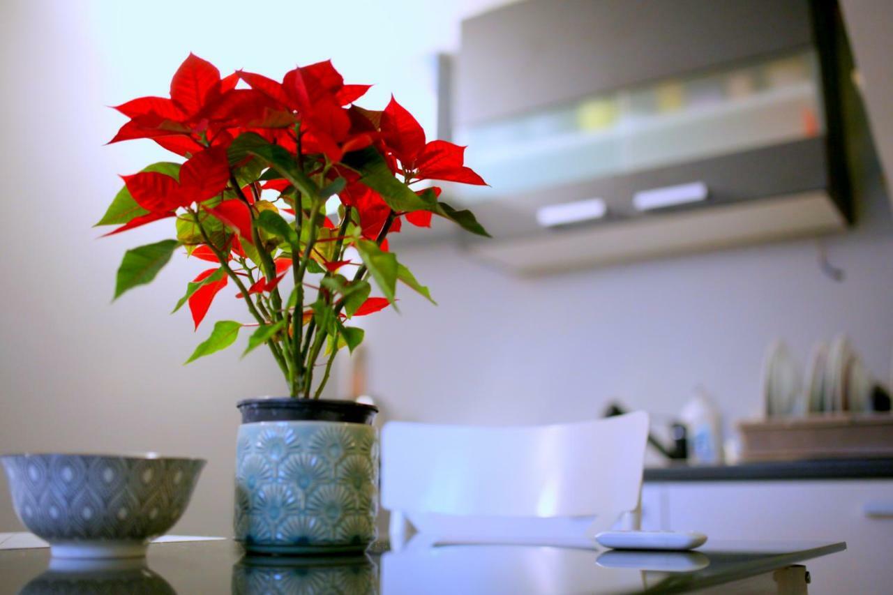 Studio Apartman - Park - Eszék Kültér fotó